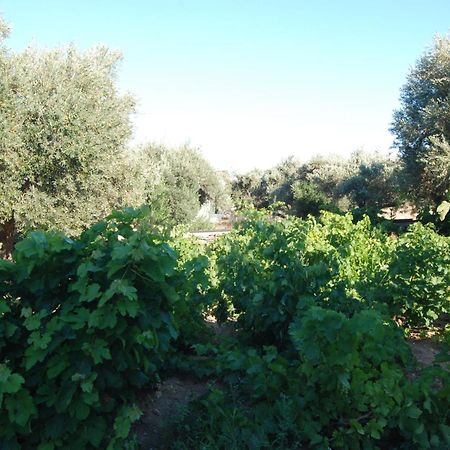 Villa Perivoli Platis Gialos  Bagian luar foto