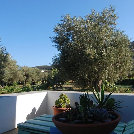 Villa Perivoli Platis Gialos  Bagian luar foto