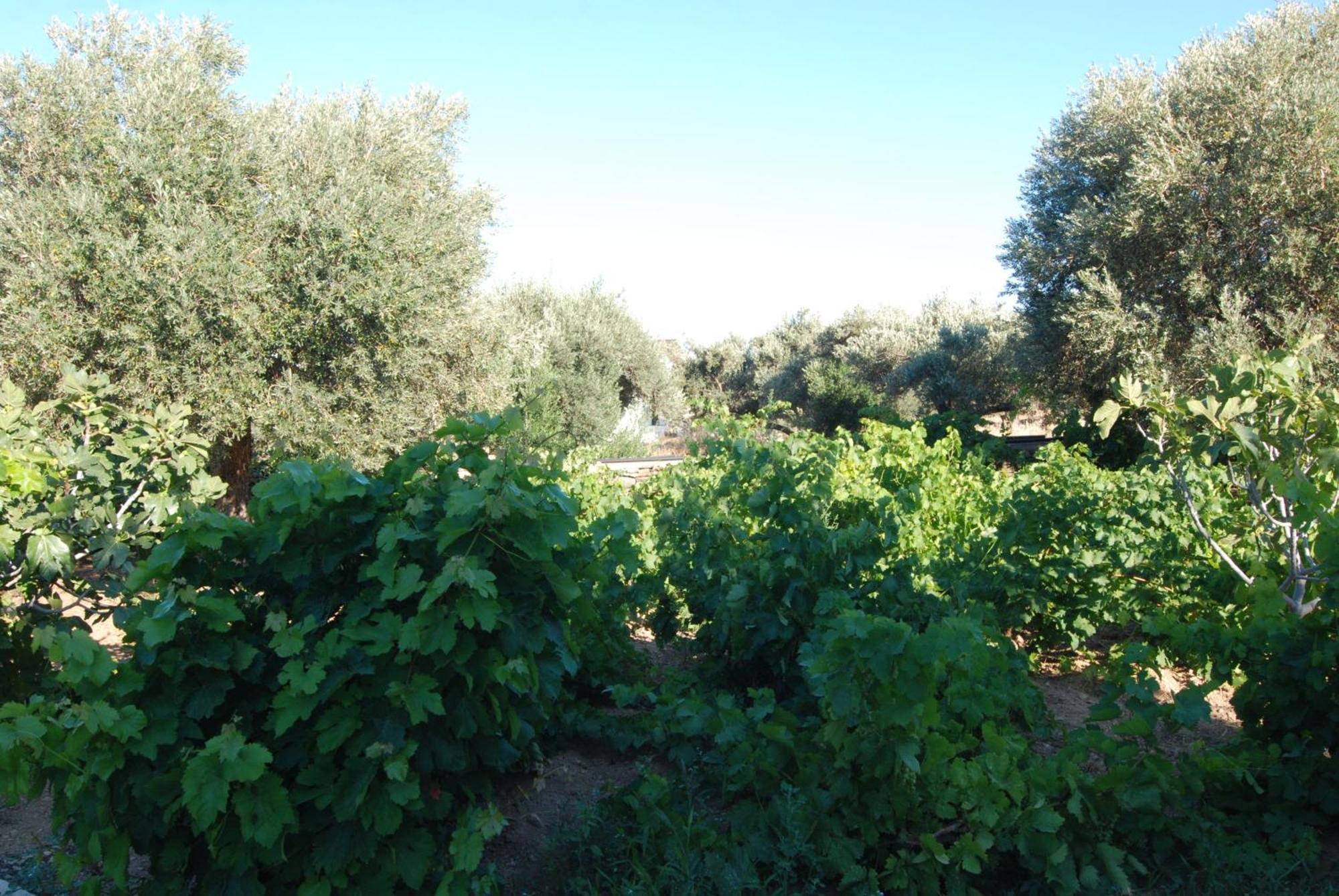 Villa Perivoli Platis Gialos  Bagian luar foto