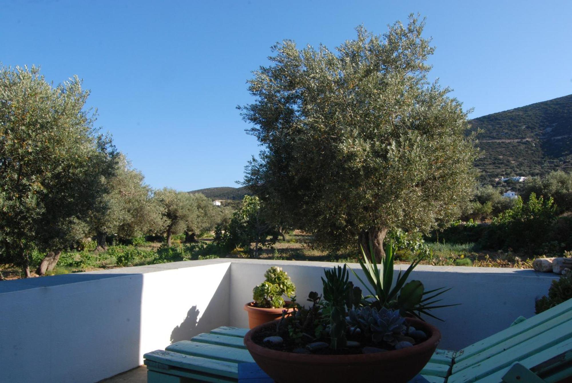 Villa Perivoli Platis Gialos  Bagian luar foto