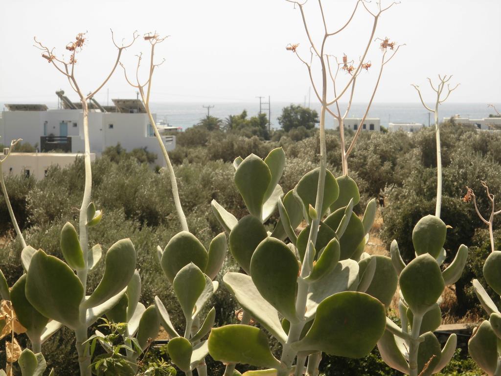 Villa Perivoli Platis Gialos  Bagian luar foto